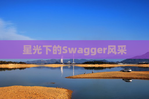 星光下的Swagger风采